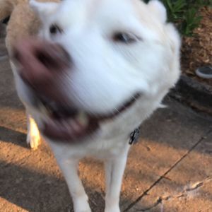 Meet your Posher, Jayden